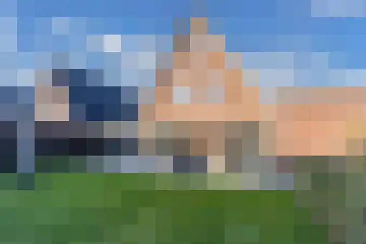 Speenkruid 10 Drachten thumbnail 44