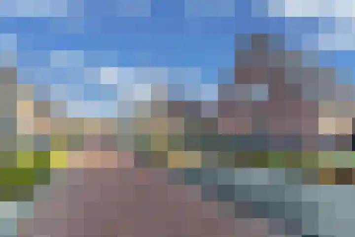 Speenkruid 10 Drachten thumbnail 47