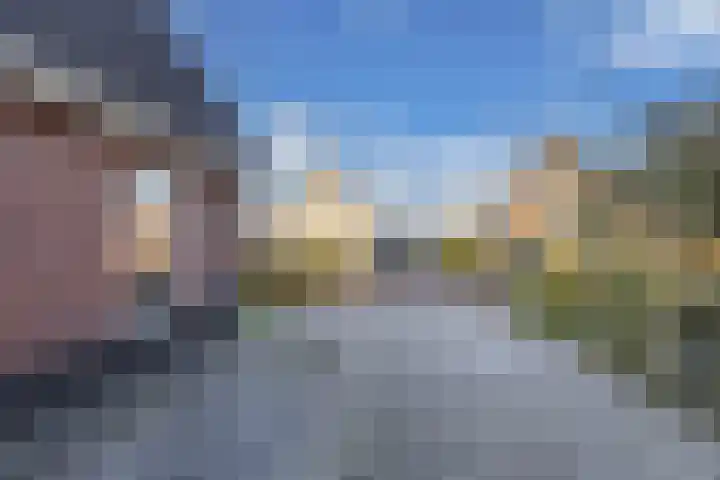 Speenkruid 10 Drachten thumbnail 48