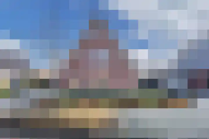 Speenkruid 10 Drachten thumbnail 5