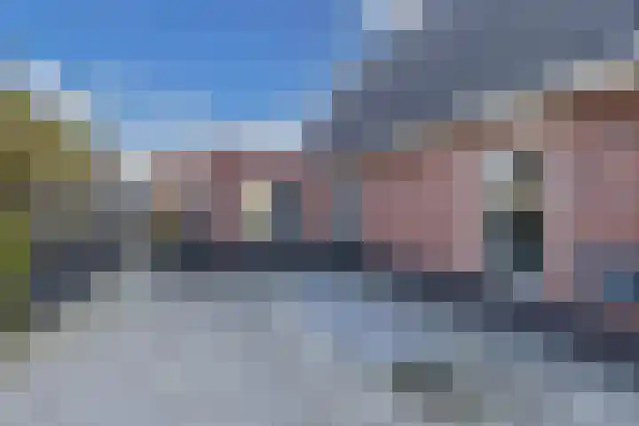 Speenkruid 10 Drachten thumbnail 6