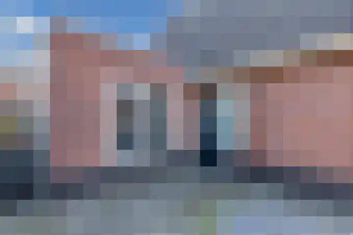 Speenkruid 10 Drachten thumbnail 7