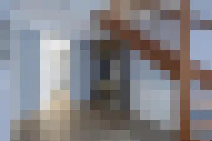 Speenkruid 10 Drachten thumbnail 9
