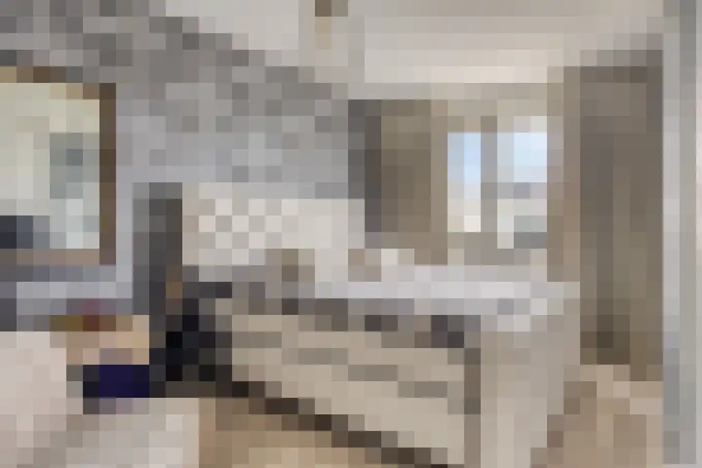 Speenkruid 11 Berghem thumbnail 10