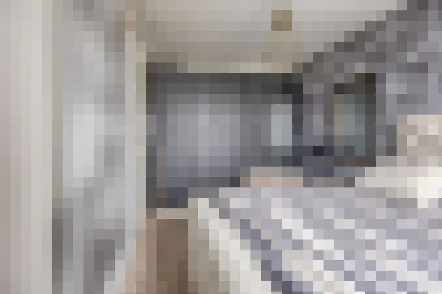 Speenkruid 11 Berghem thumbnail 11
