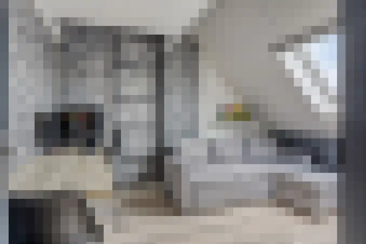Speenkruid 11 Berghem thumbnail 18
