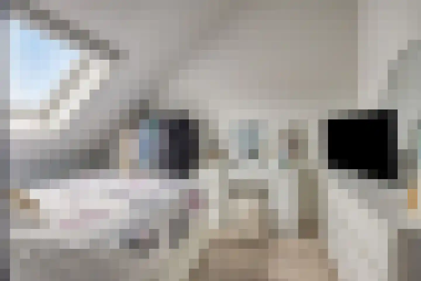 Speenkruid 11 Berghem thumbnail 21