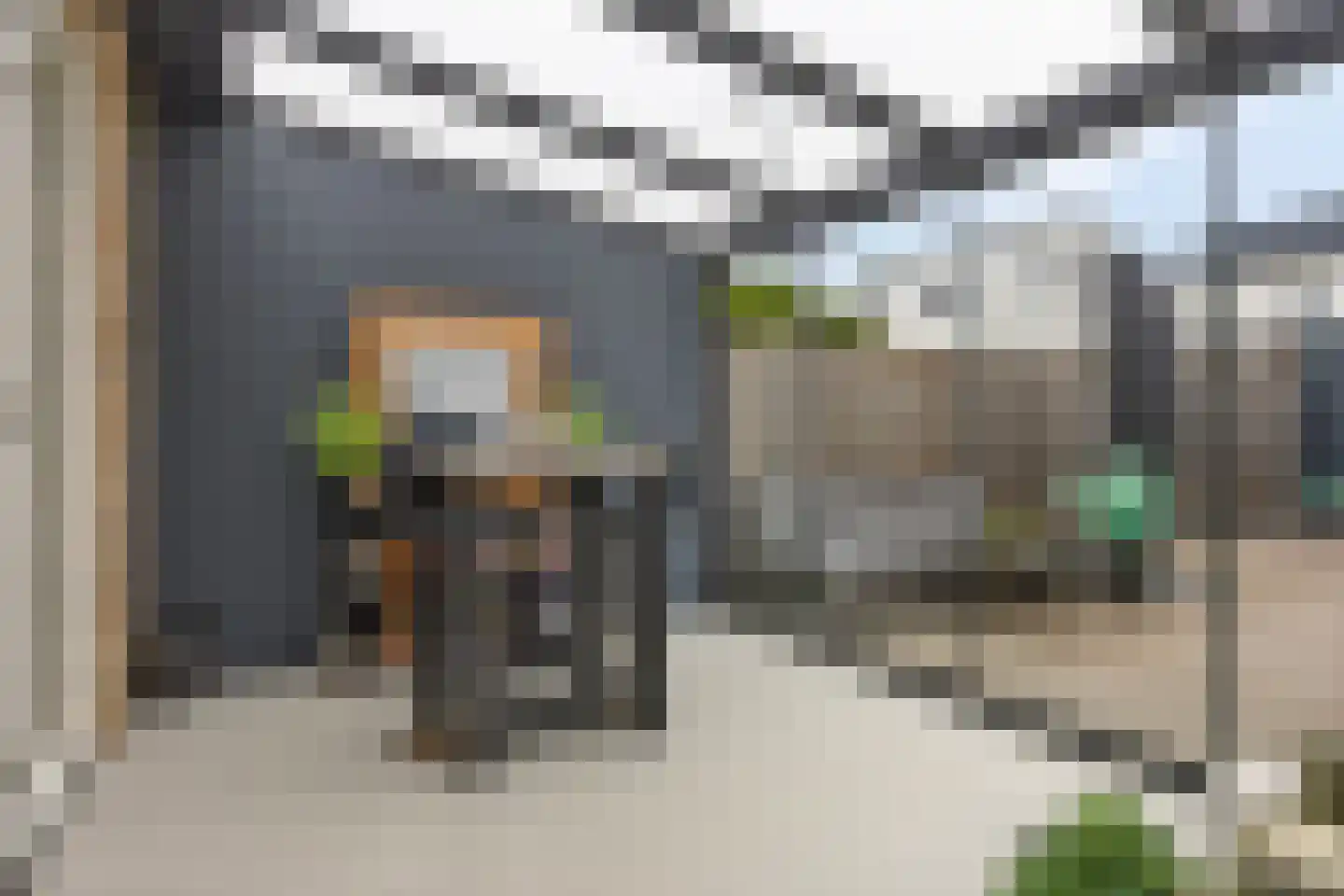 Speenkruid 11 Berghem thumbnail 23