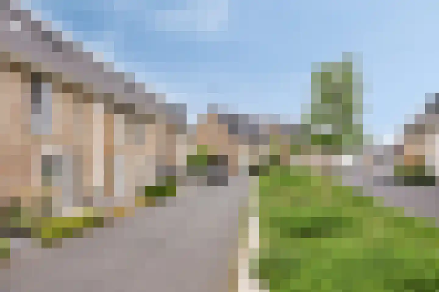 Speenkruid 11 Berghem thumbnail 29