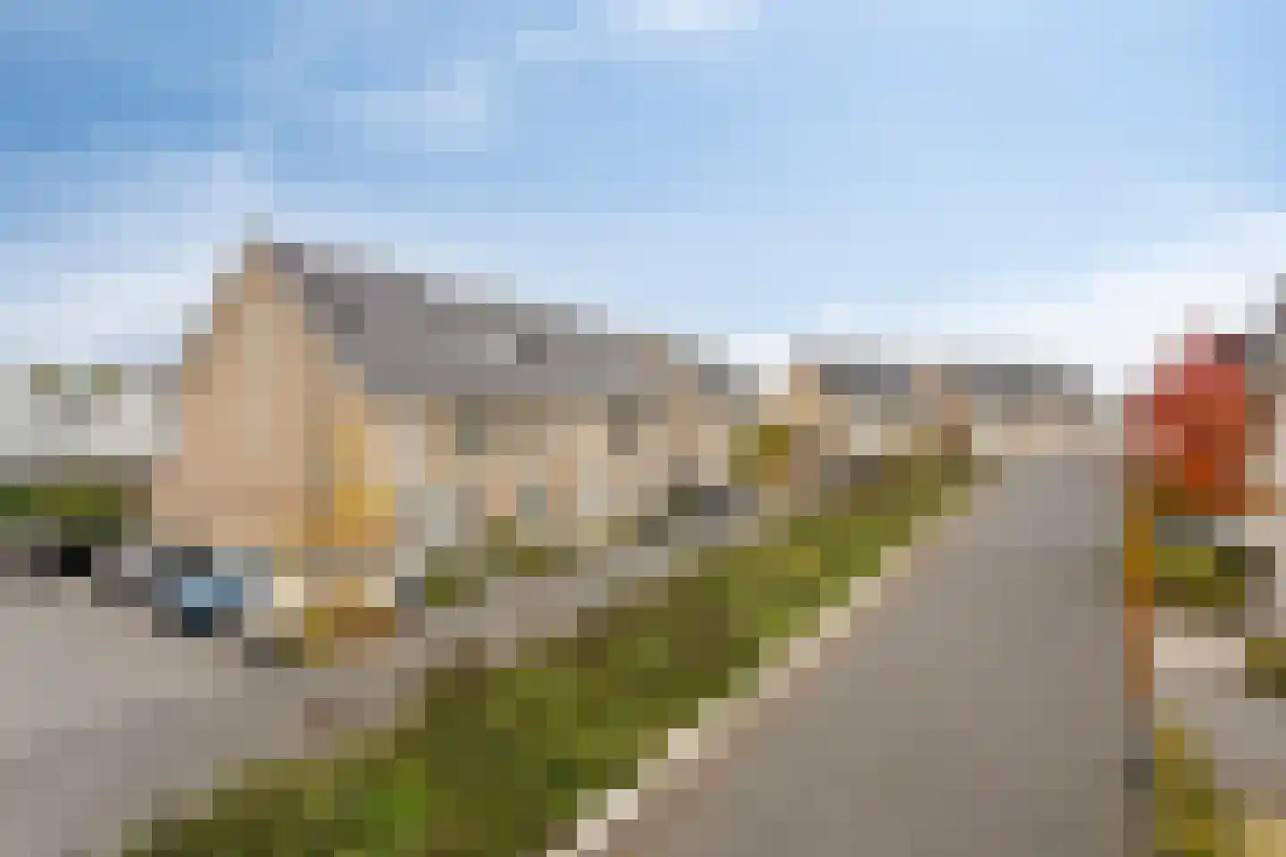 Speenkruid 11 Berghem thumbnail 30