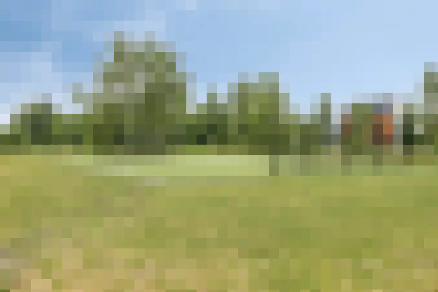 Speenkruid 11 Berghem thumbnail 31