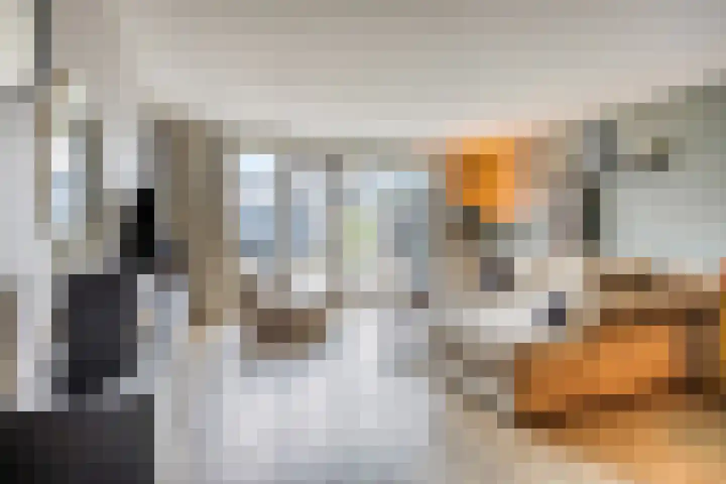 Speenkruid 11 Berghem thumbnail 4