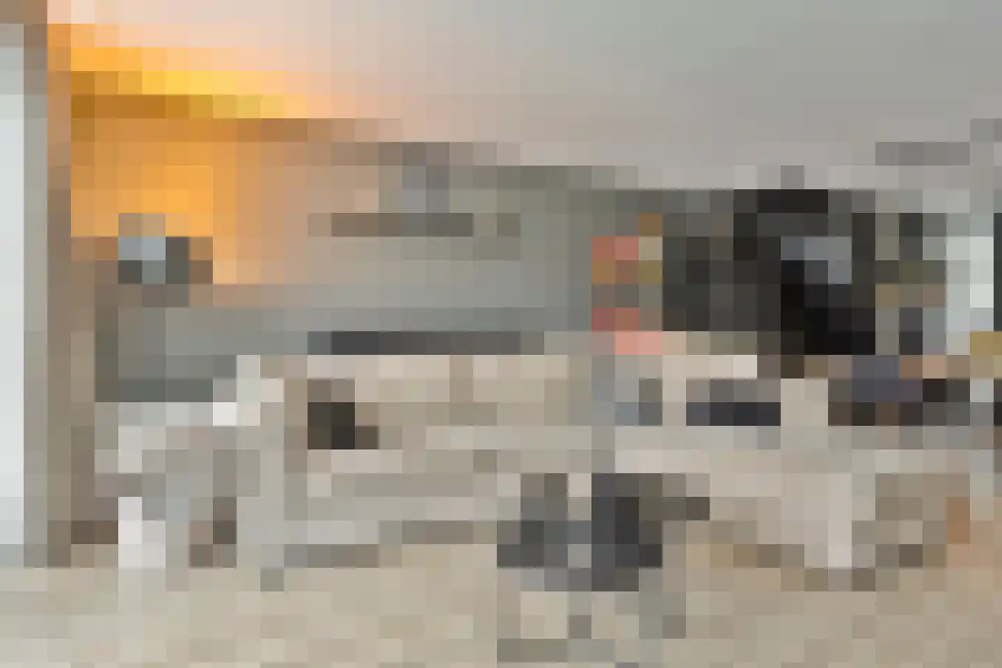 Speenkruid 11 Berghem thumbnail 5