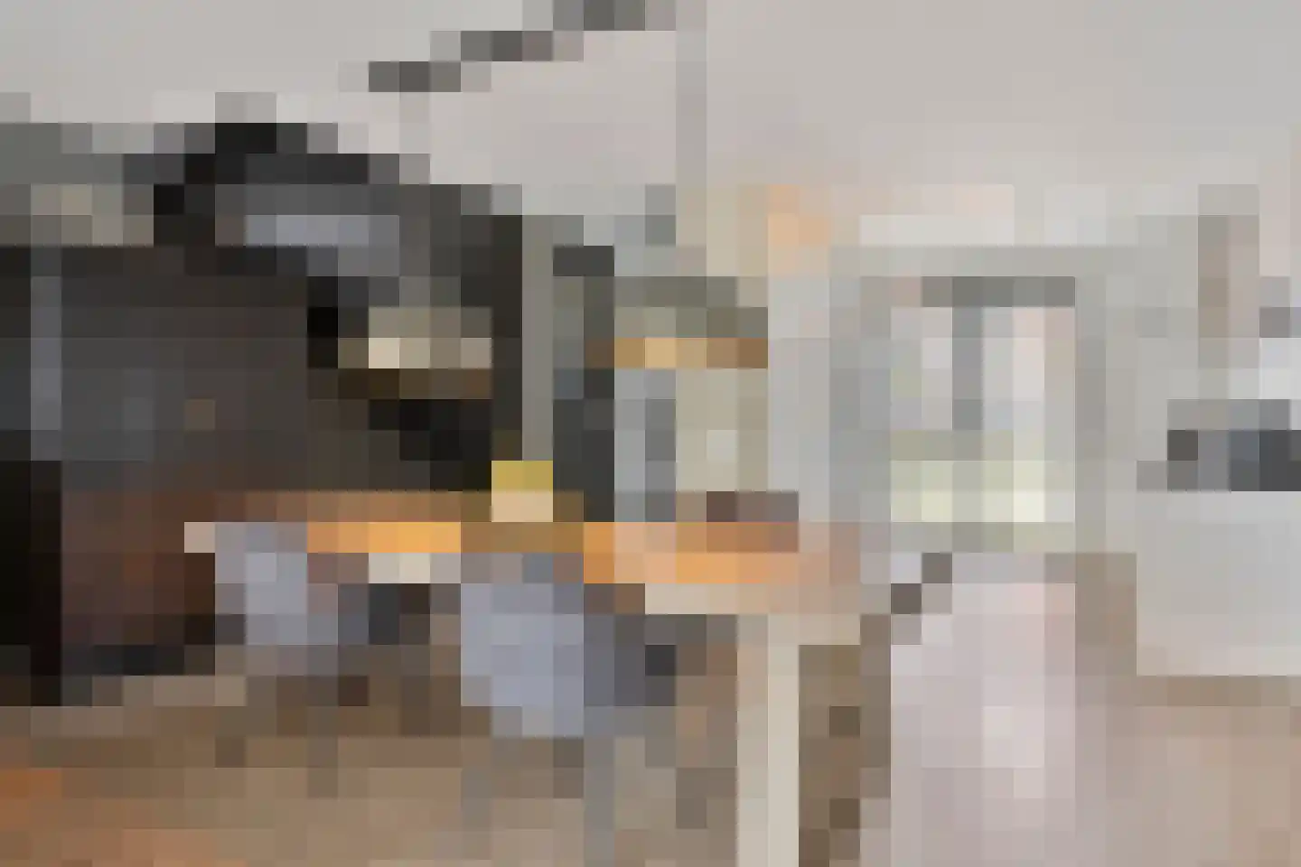 Speenkruid 11 Berghem thumbnail 6
