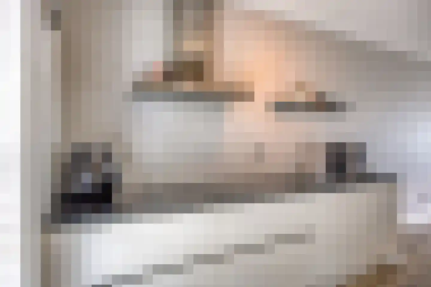 Speenkruid 11 Berghem thumbnail 8