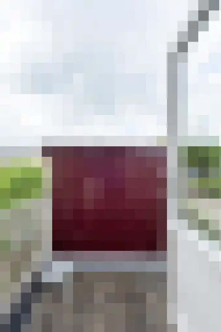 Speenkruid 11 Leeuwarden thumbnail 28