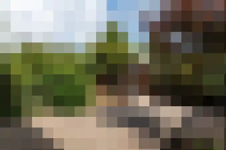 Speenkruid 11 Leeuwarden thumbnail 43