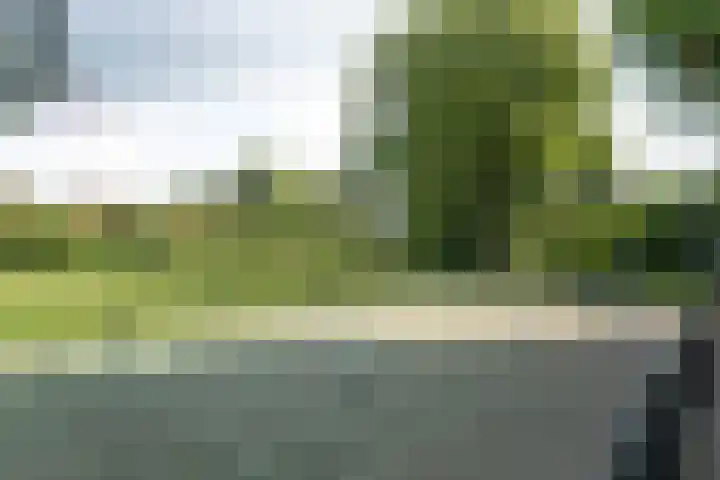 Speenkruid 11 Leeuwarden thumbnail 47