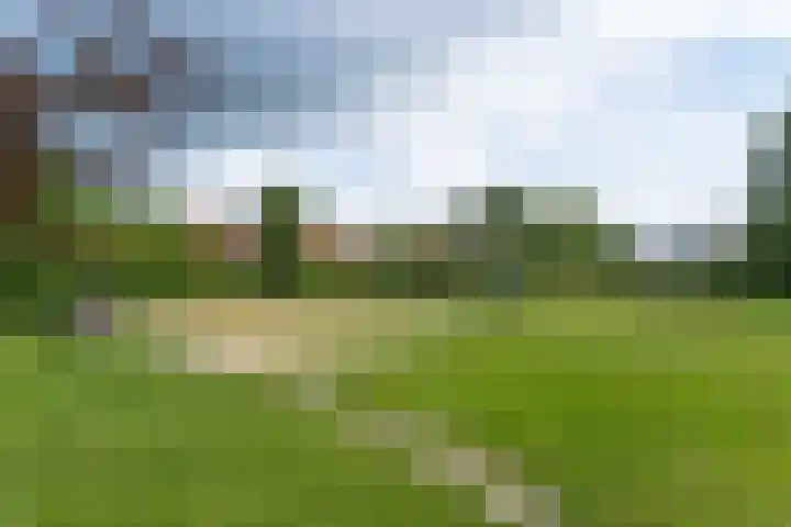 Speenkruid 11 Leeuwarden thumbnail 49