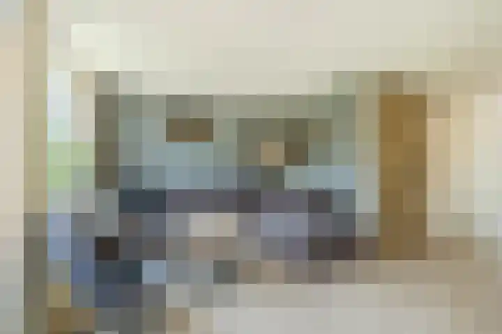 Speenkruid 126 Beilen thumbnail 10