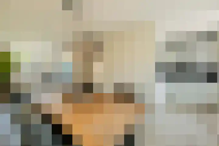 Speenkruid 126 Beilen thumbnail 12