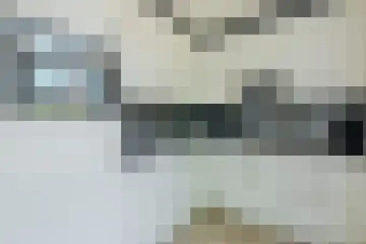 Speenkruid 126 Beilen thumbnail 13