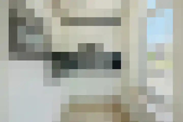 Speenkruid 126 Beilen thumbnail 14