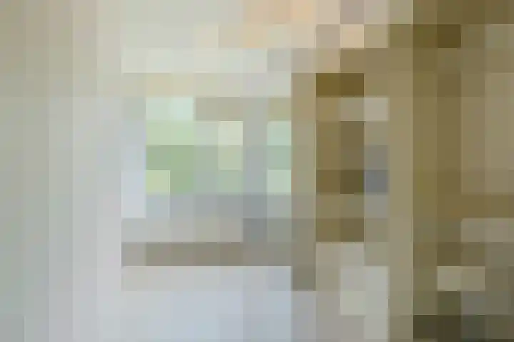 Speenkruid 126 Beilen thumbnail 15