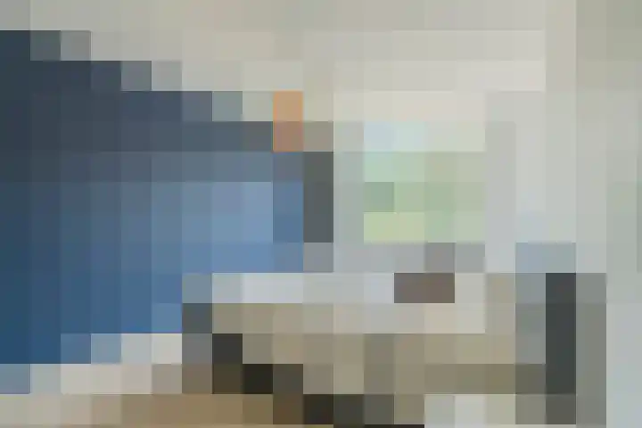 Speenkruid 126 Beilen thumbnail 17