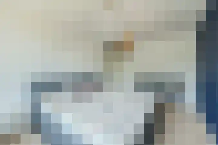 Speenkruid 126 Beilen thumbnail 18