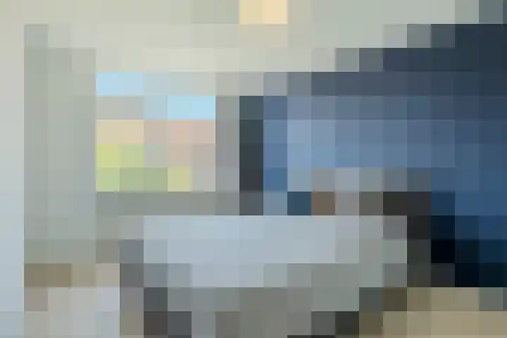Speenkruid 126 Beilen thumbnail 19