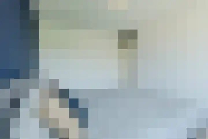 Speenkruid 126 Beilen thumbnail 20