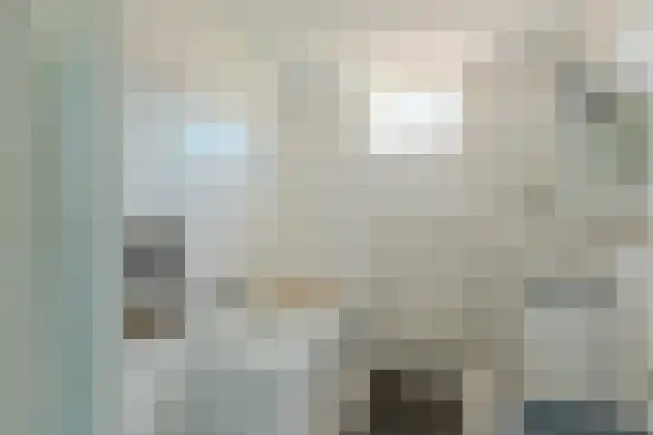 Speenkruid 126 Beilen thumbnail 21