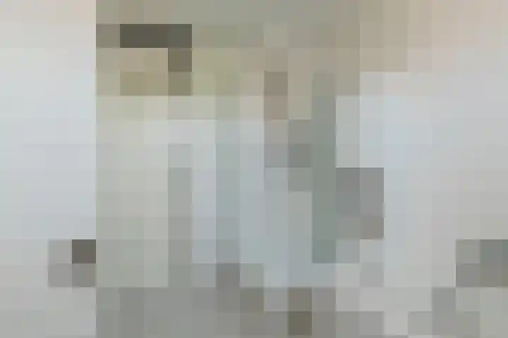 Speenkruid 126 Beilen thumbnail 22