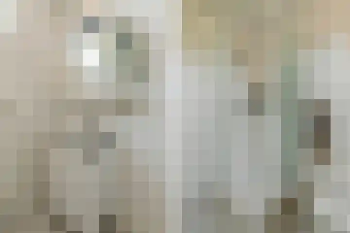 Speenkruid 126 Beilen thumbnail 23