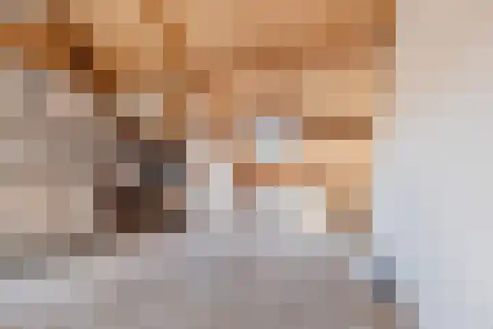 Speenkruid 126 Beilen thumbnail 25