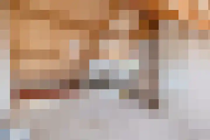 Speenkruid 126 Beilen thumbnail 26
