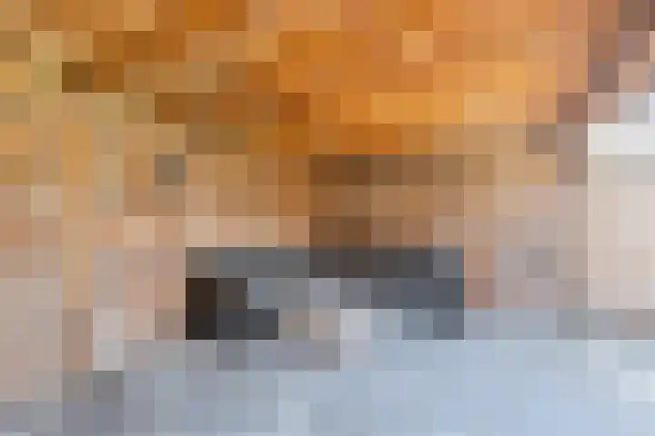 Speenkruid 126 Beilen thumbnail 28