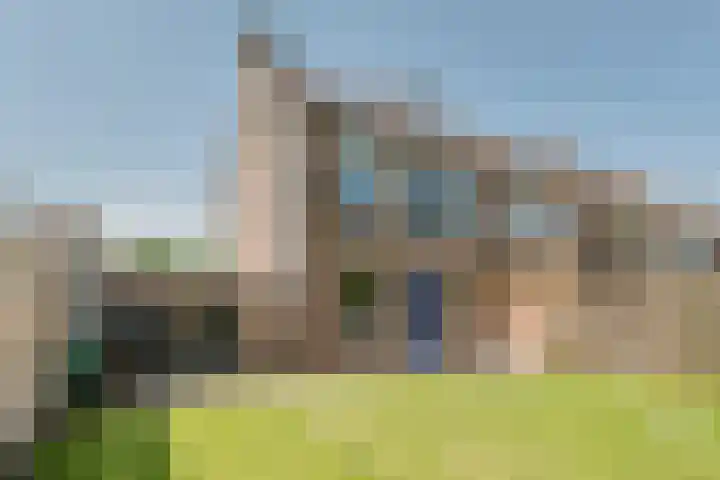 Speenkruid 126 Beilen thumbnail 31