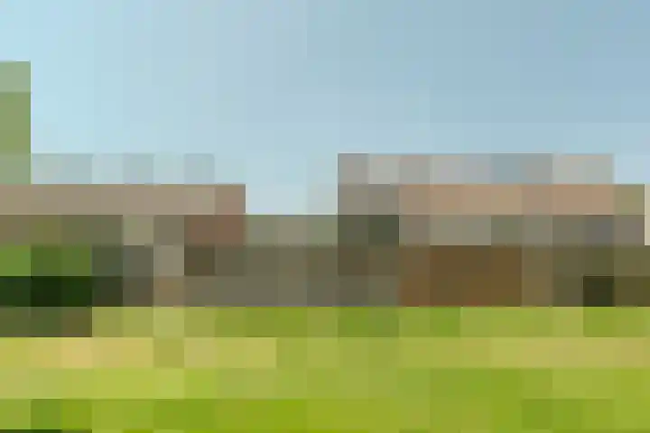 Speenkruid 126 Beilen thumbnail 32