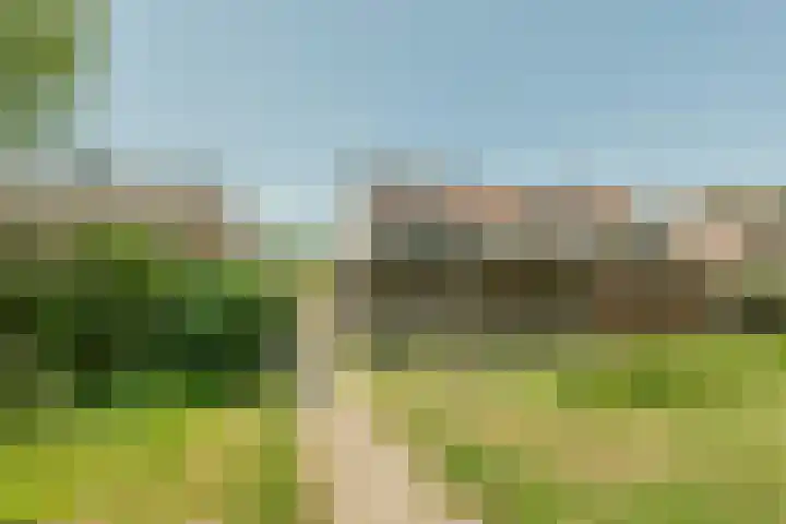 Speenkruid 126 Beilen thumbnail 33