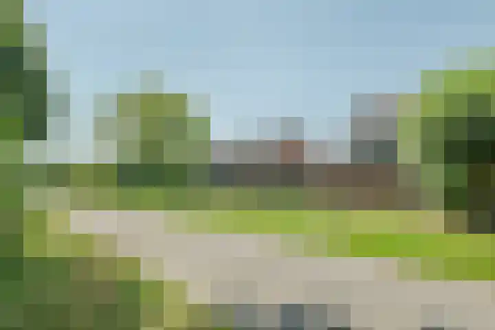 Speenkruid 126 Beilen thumbnail 35