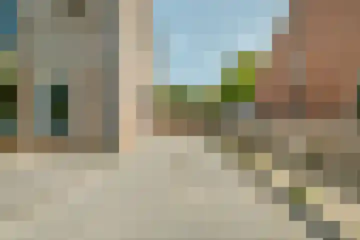 Speenkruid 126 Beilen thumbnail 4