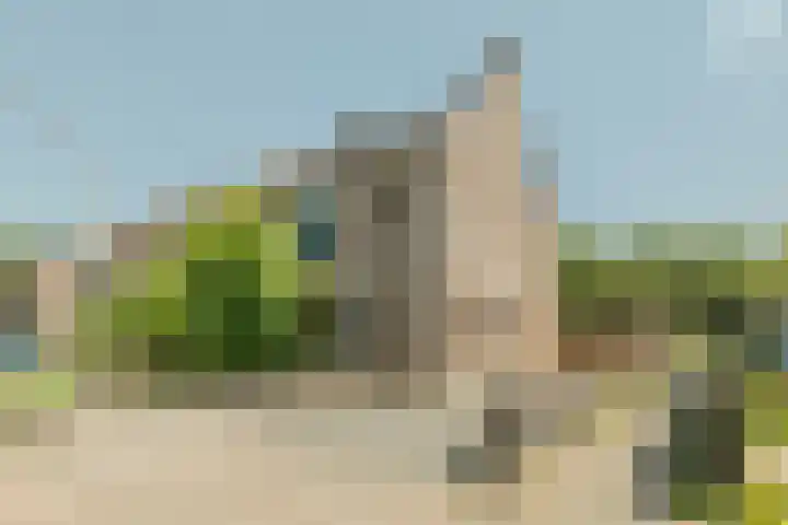 Speenkruid 126 Beilen thumbnail 41