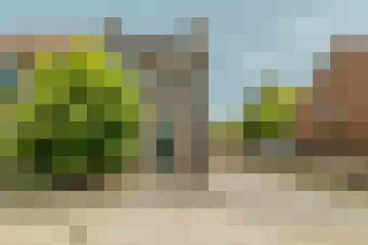 Speenkruid 126 Beilen thumbnail 5