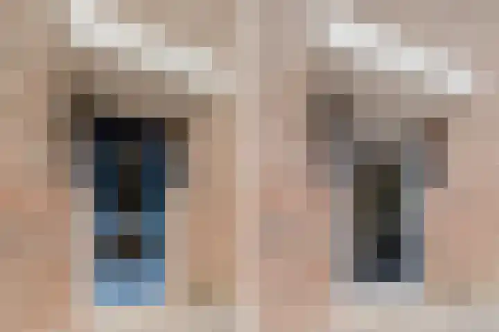 Speenkruid 126 Beilen thumbnail 6
