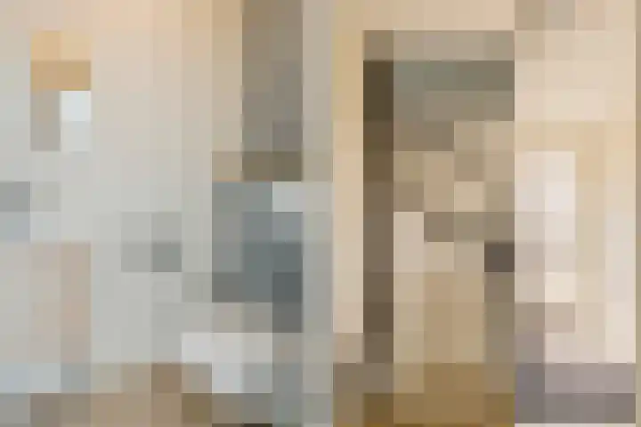 Speenkruid 126 Beilen thumbnail 7