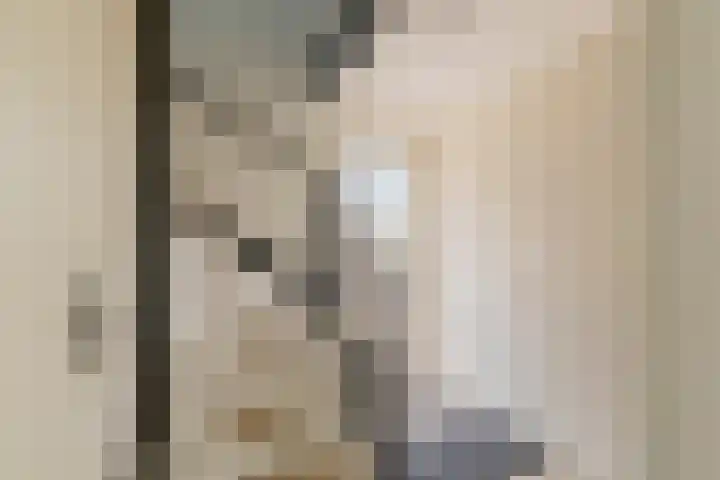 Speenkruid 126 Beilen thumbnail 8
