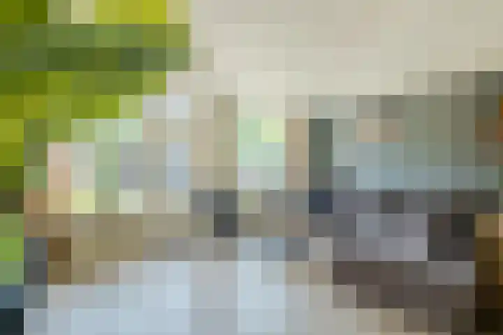 Speenkruid 126 Beilen thumbnail 9
