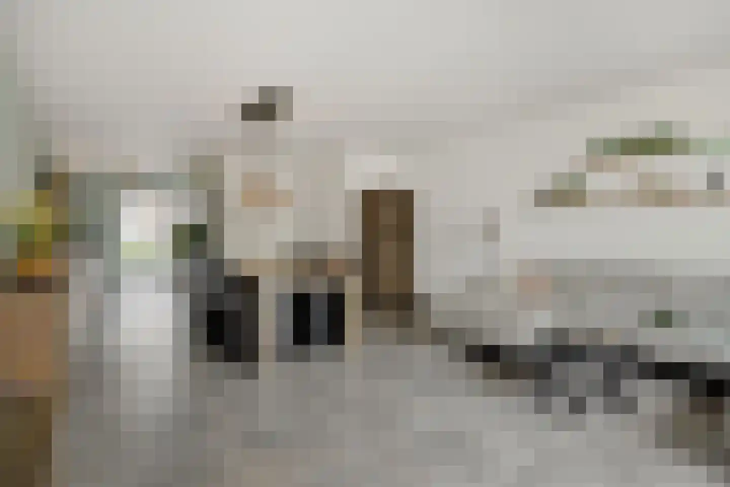 Speenkruid 13 Berghem thumbnail 4